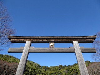 IMG_7421.JPG