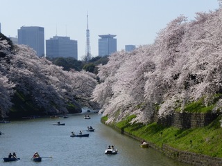 image-0a2c7.jpg
