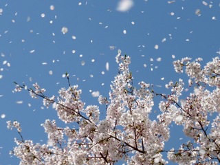 image-4c382.jpg