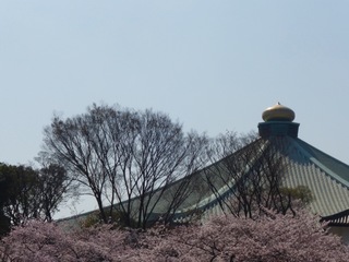 image-aa012.jpg