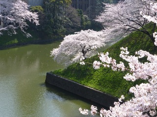 image-ae95a.jpg