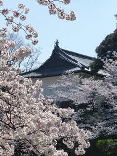 image-d2cb3.jpg