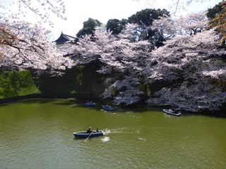 image-f05d2.jpg