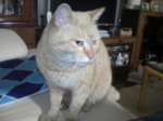 200704102056000.jpg