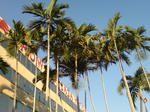 20091207162941.jpg