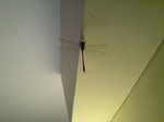 20100120181508.jpg