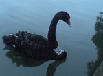 20101201202740.jpg