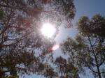 20101204161639.jpg