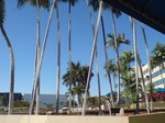 20101214093548.jpg