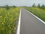 20110503135808.jpg