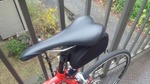 111209_105450_ed.jpg